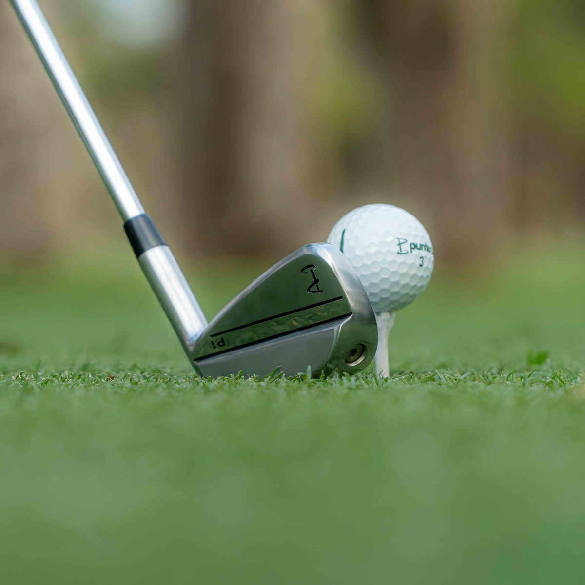 P1 Irons