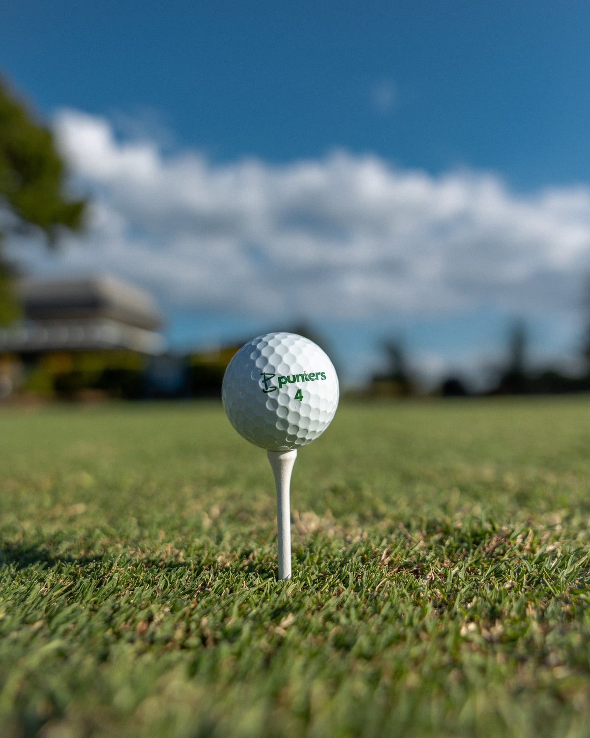 Birdie Balls - Puntersa