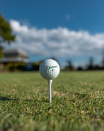 Birdie Balls - Puntersa